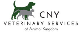 CNY Veterinary Services at Animal Kingdom